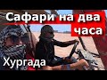 Нас опять пытаются развести 😡 но мы не сдаемся 💪.Очередная экскурсия. Сафари  Хургада 2021.