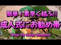 【振袖帯結び】簡単!素早く結ぶ!!成人式お勧め帯 How to wear Kimono【簡単帯結び】