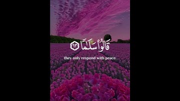 و عبادالرحمن الذين يمشون #القرآن_الكريم #تلاوة_خاشعة #راحة_نفسية #شاشه_سوداء #كرومات_قرآن #قرآن