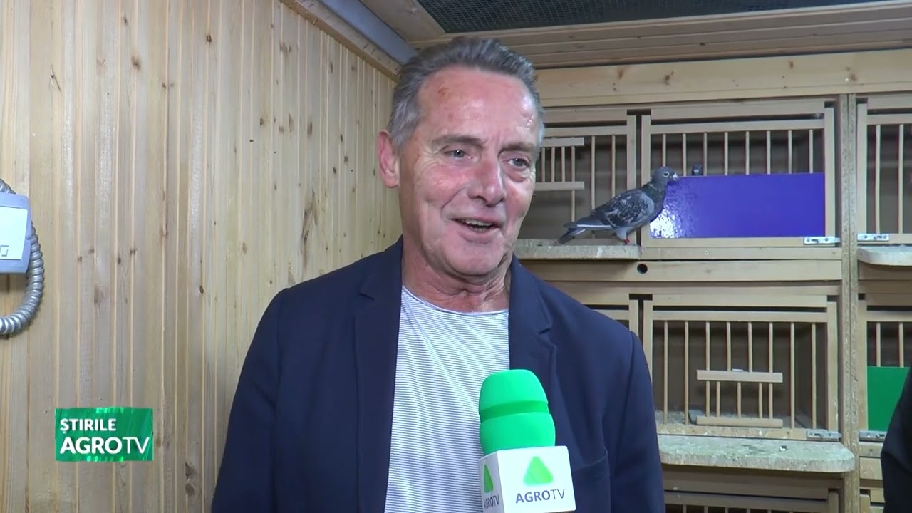 Columbofili Olandezi, în județul Dâmbovița 16 10 2023