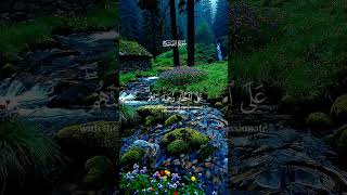 Surah Al-Fath [48:29] Qari: Sheikh Saad Al-Ghamidi #islamicstoriesinurduandhindi #viral#qurantilawat