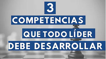 ¿Cuáles son las 3 competencias principales de un administrador de RRHH?