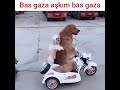 Bas Gaza Aşkım