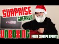 Secret Santa Nike Sneaker Unboxing!! (Surprise from Champs)