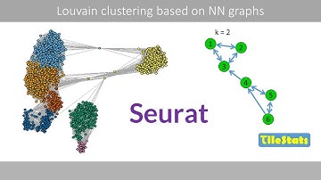 kNN and SNN graphs, and Louvain clustering | How Seurat cluster single cells