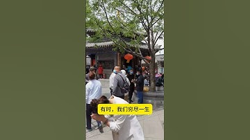 成为更洒脱的自己。赢得世界却输掉自己？停止攀比的唯一办法是回到内心 #停止攀比 #内心主宰 #人生风景