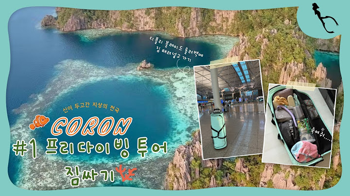 [브이로그] 신들이 두고간 지상의 천국 코론 프리다이빙 투어 짐싸기. 내돈내산 디플리 블레이드 롤러 롱핀백
