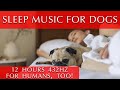 Sleep Music for Dogs 12 Hours [For Humans, too! - 432 Hz]