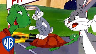 Looney Tunes | Tortoise VS Hare - Who Would Win? | Classic Cartoon | @wbkids