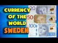 Currency of the world - Sweden. Swedish krone. Swedish banknotes and Swedish coins