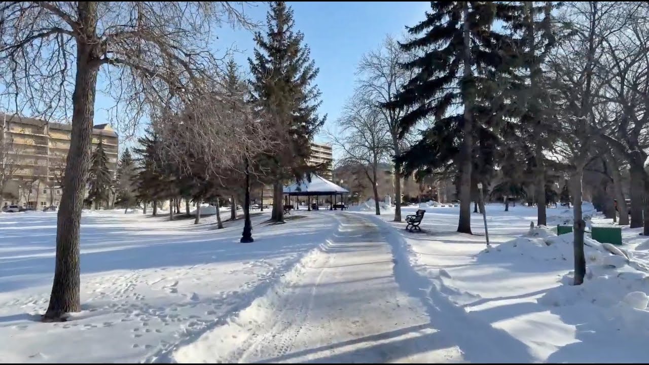 Walking in Regina, January 30, 2026: Another short walk on a slightly wonky knee