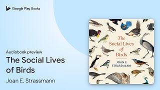 The Social Lives of Birds by Joan E. Strassmann · Audiobook preview