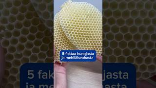 5 Faktaa Hunajasta Ja Mehiläisvahasta