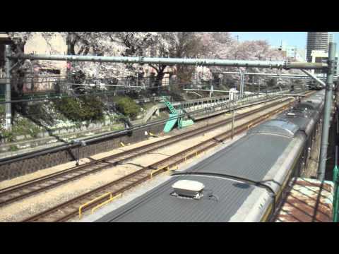桜×中央緩行線209系500番台 中野～東中野