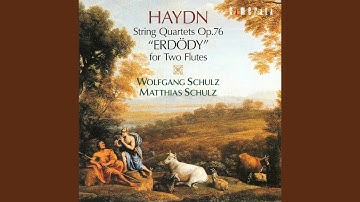 String Quartet in D Major, Op. 76 No.5, Hob.III: 79 "Largo": II. Largo cantabile e mesto (Arr....