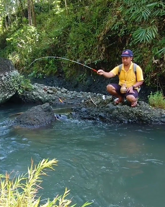 Mancing Ikan Paus Air Tawar 😂 #mancingwader #microfishing #waderan