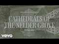 Benjamin william hastings  cathedrals of the nelder grove official visualizer