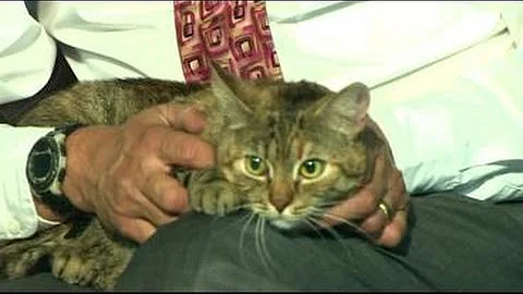 10/29 Pet Connection: Babette