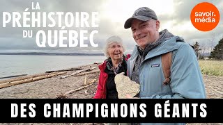 Des champignons géants - La préhistoire du Québec