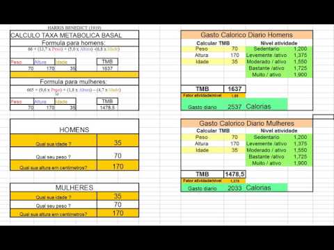 Metabolismo calorias calcular como basal