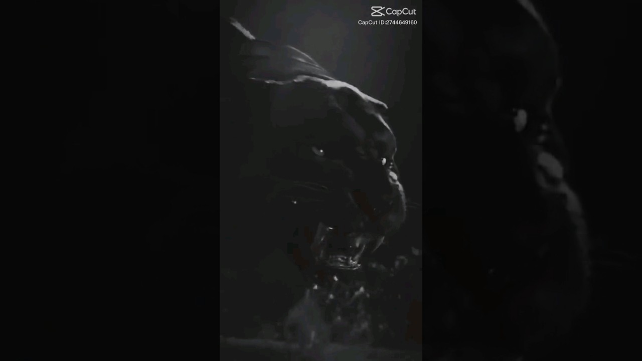preview_player
