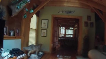 GoPro Hero 3 Spot Meter Test