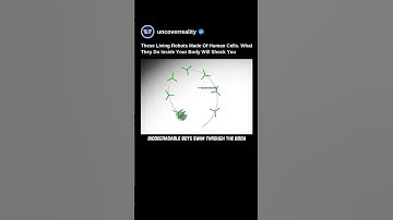 These Living Robots Made Of Human Cells. What They Do Inside Your Body Will Shock You #robot #shorts