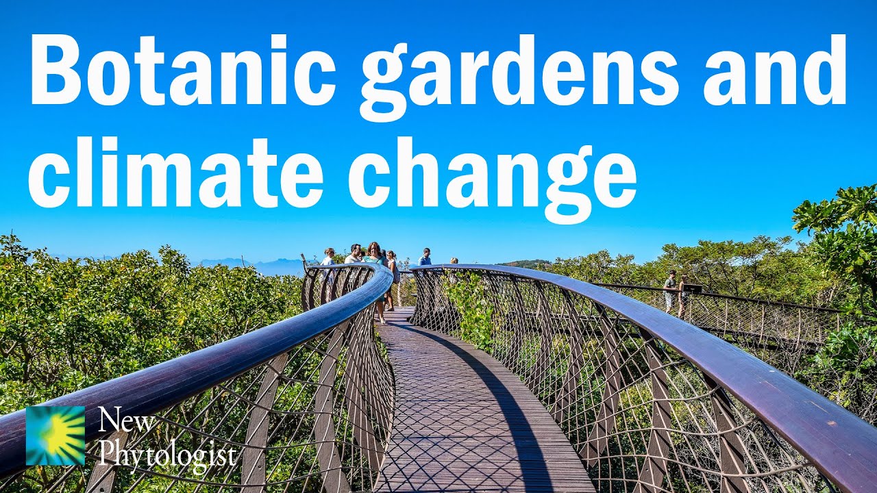 The growing and vital role of botanical gardens in climate change ...