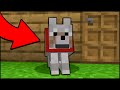 Minecraft: How to make a working Guard Dog! [easy]