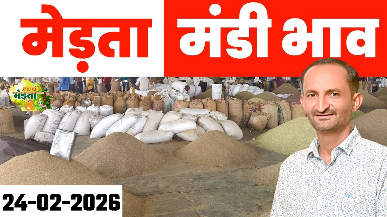 मेड़ता मंडी भाव | Mandi Mandi Today | Merta Mandi Bhav | Gour Bhav | Jeera Bhav Report