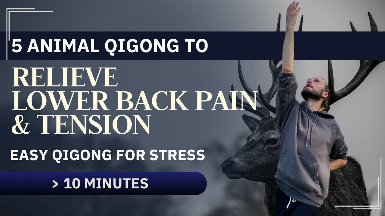 Relieve Lower Back Pain & Tension with Deer Qigong | Easy Qigong for Stress