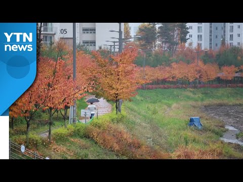 [날씨] 흐리고 곳곳 비...내일 '입동' 미세먼지 주의 / YTN
