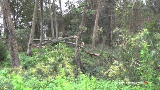 TEMPORAL EM MARRAZES LEIRIA