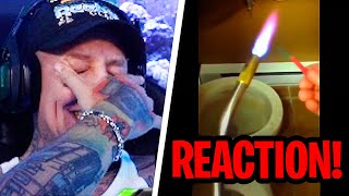 Monte REAGIERT auf RANDOM Videos I found on REDDIT!😂 MontanaBlack Reaktion