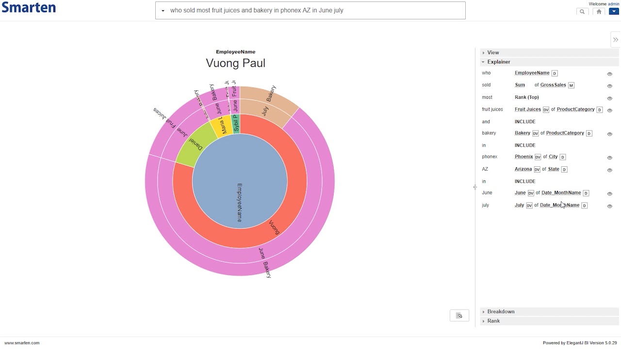 Smarten Natural Language Processing (NLP) Including Search Analytics