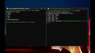 Basic echo server in C - milestone 1