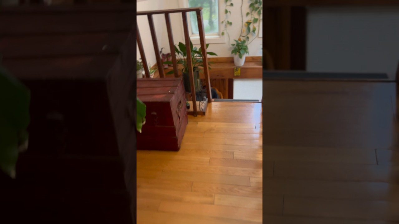 And my cozy stay at Catskill Cabin 