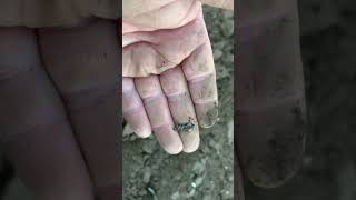Old decorated lead artefact found metal detecting Scotland xp deus
