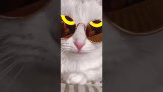 𝖺𝗋𝗄𝖺 𝗉𝗅𝖺𝗇 𝗏𝗂𝖽𝖾𝗈𝗌𝗎 ఌ