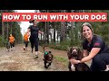 The Ultimate Guide To Running With Your Dog Dos And Don Ts 