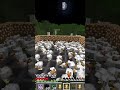 we found a load of chickens #chicken #funny #arua #wow