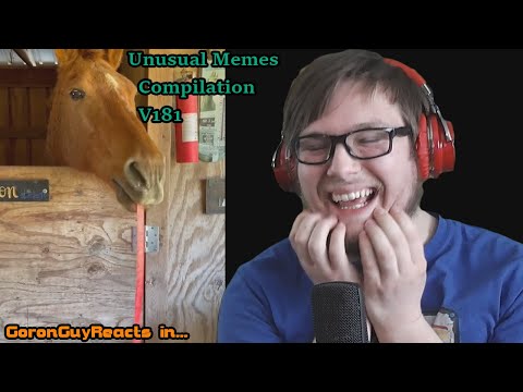 (HORSE WITH THE FRUIT ROLLUP THO?) Unusual Memes Compilation V181 - GoronGuyReacts