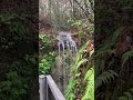 Enjoy a Unique Florida Wonder! The Highest Waterfall in Florida at Falling Waters State Park