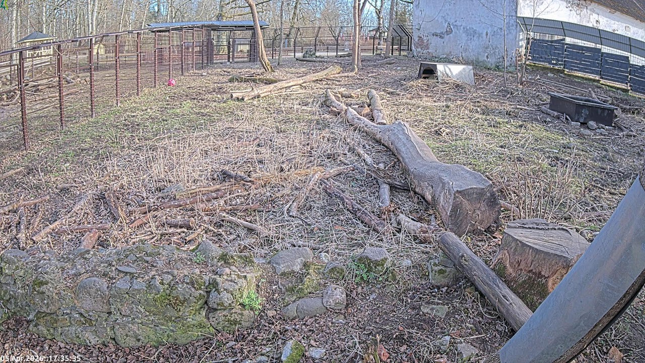 Karukaamera RMK Elistvere loomapargis