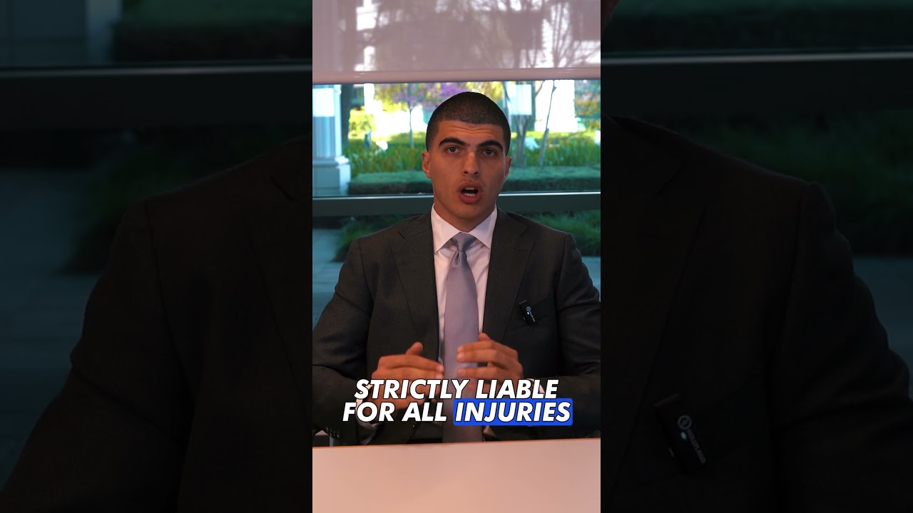 What are the laws regarding dog owner liability in California