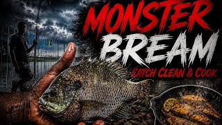 Fishing For Monster BLUEGILL!! {Catch Clean Cook} Fried Bluegill + Best Rig For Bait Fishing