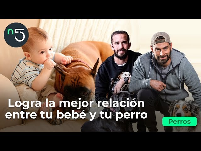 ¿Cómo Introducir tu Bebé a tu Perro? | Perros En Cinco | En5.mx