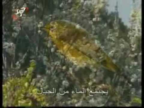 نفسي تغني يا مخلصي