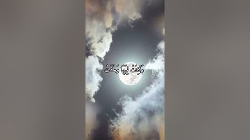 واتس اب قران كريم القارئ ياسر دوسري (سوره الإنشقاق)