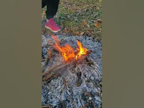 Осенний лес - YouTube